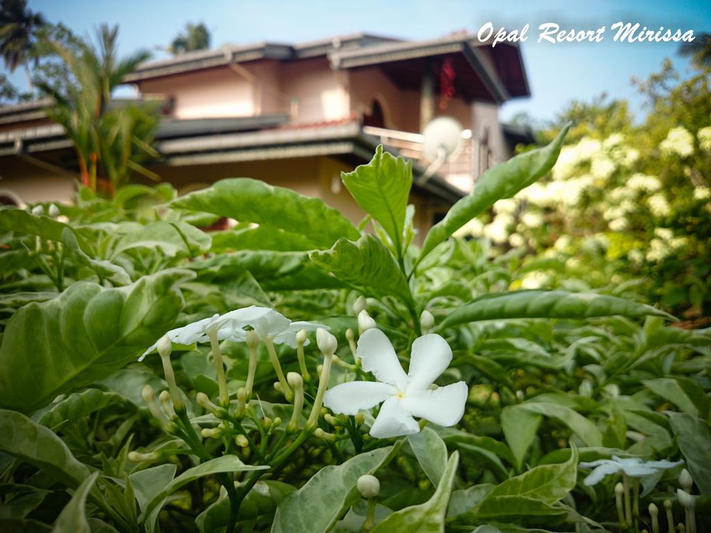 Opal Mirissa Villa Bagian luar foto